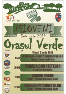 afis-ziua-mondiala-a-mediului-mioveni-2014