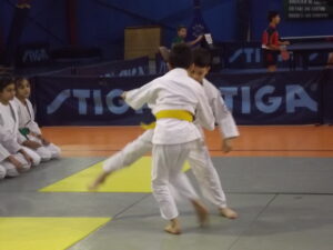 demonstratie-judo-1-decembrie-mioveni (10)