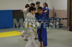 judo-cs-mioveni (1)
