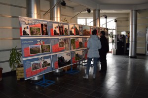 expozitie-primarie-cetatea-poienari (3)