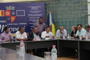 sedinta-extraordinara-primaria-consiliul-local-pitesti-transport (4)