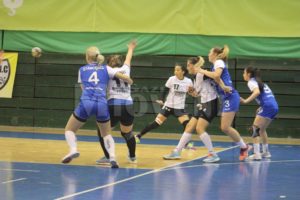 cs-dacia-mioveni-2012-fc-arges-handbal-21-10-2017 (4)